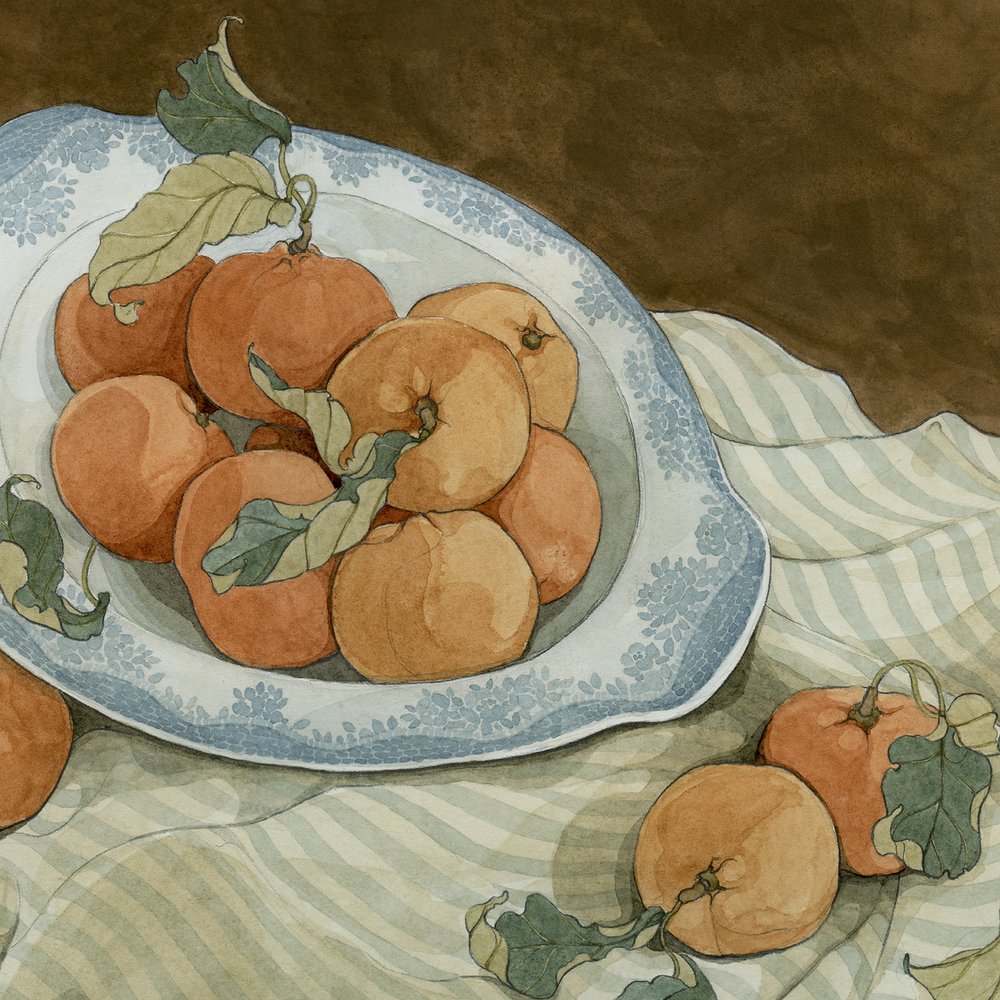 Clementines