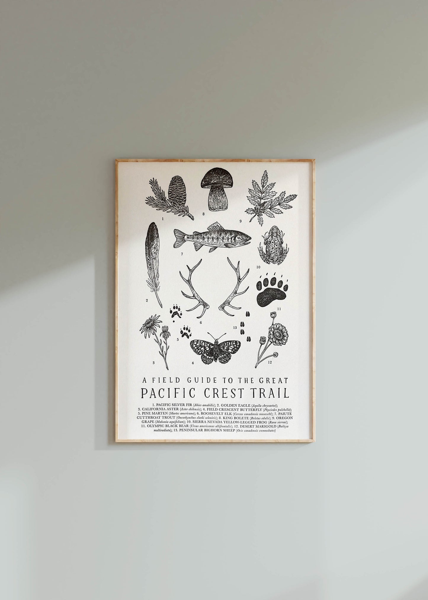 Pacific Crest Trail Guide Letterpress