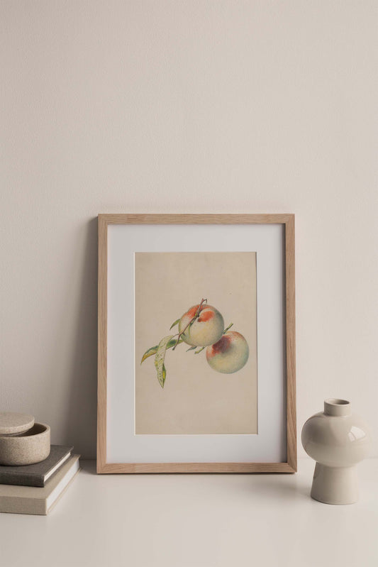 two peaches on their stems vintage art