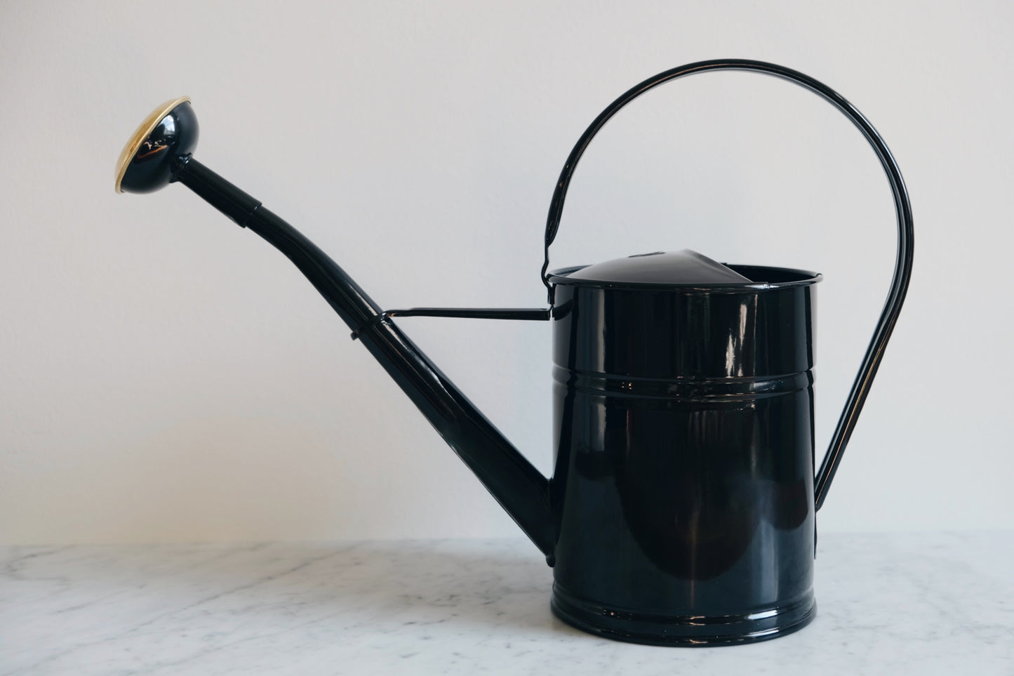 Black Watering Can