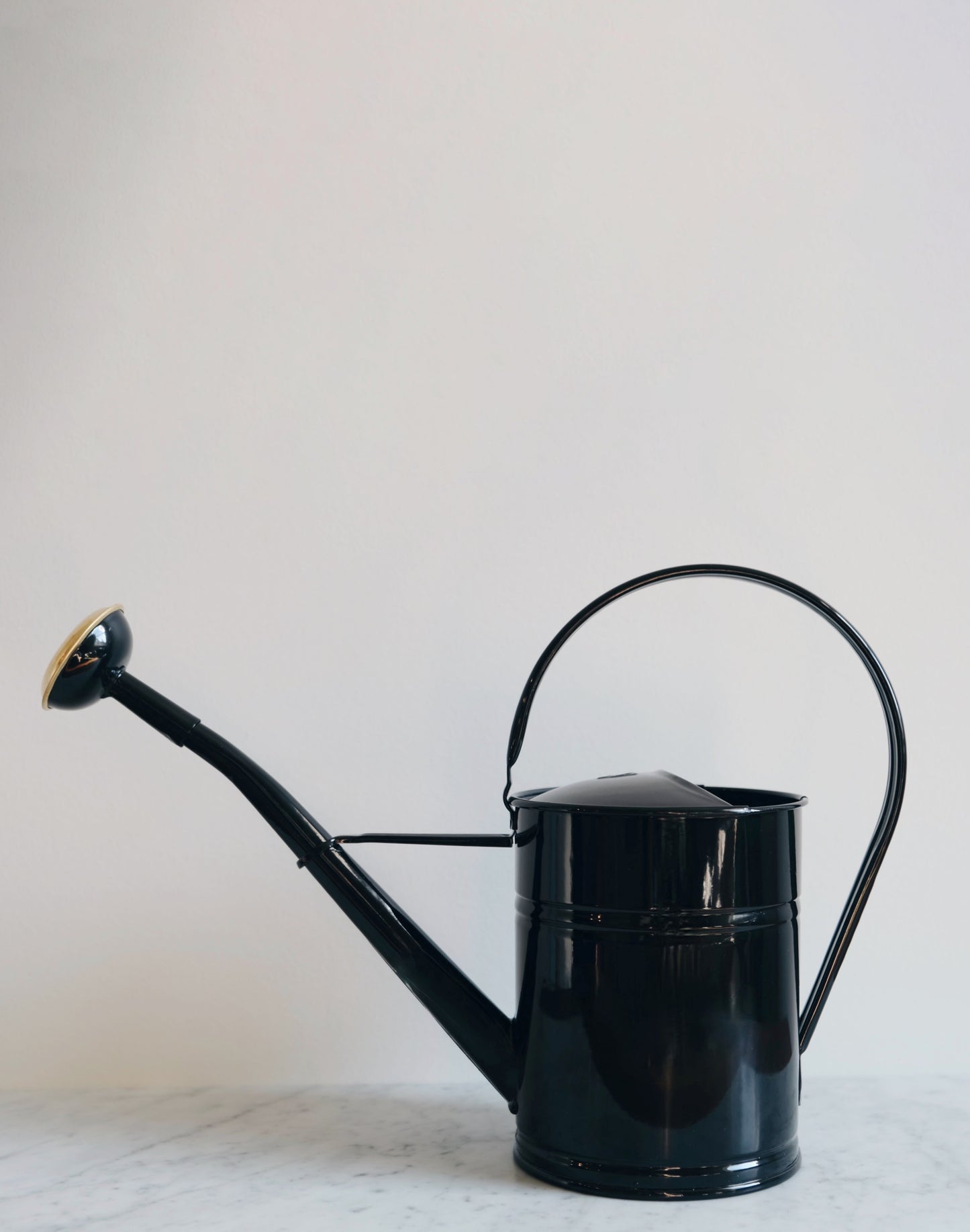 Black Watering Can