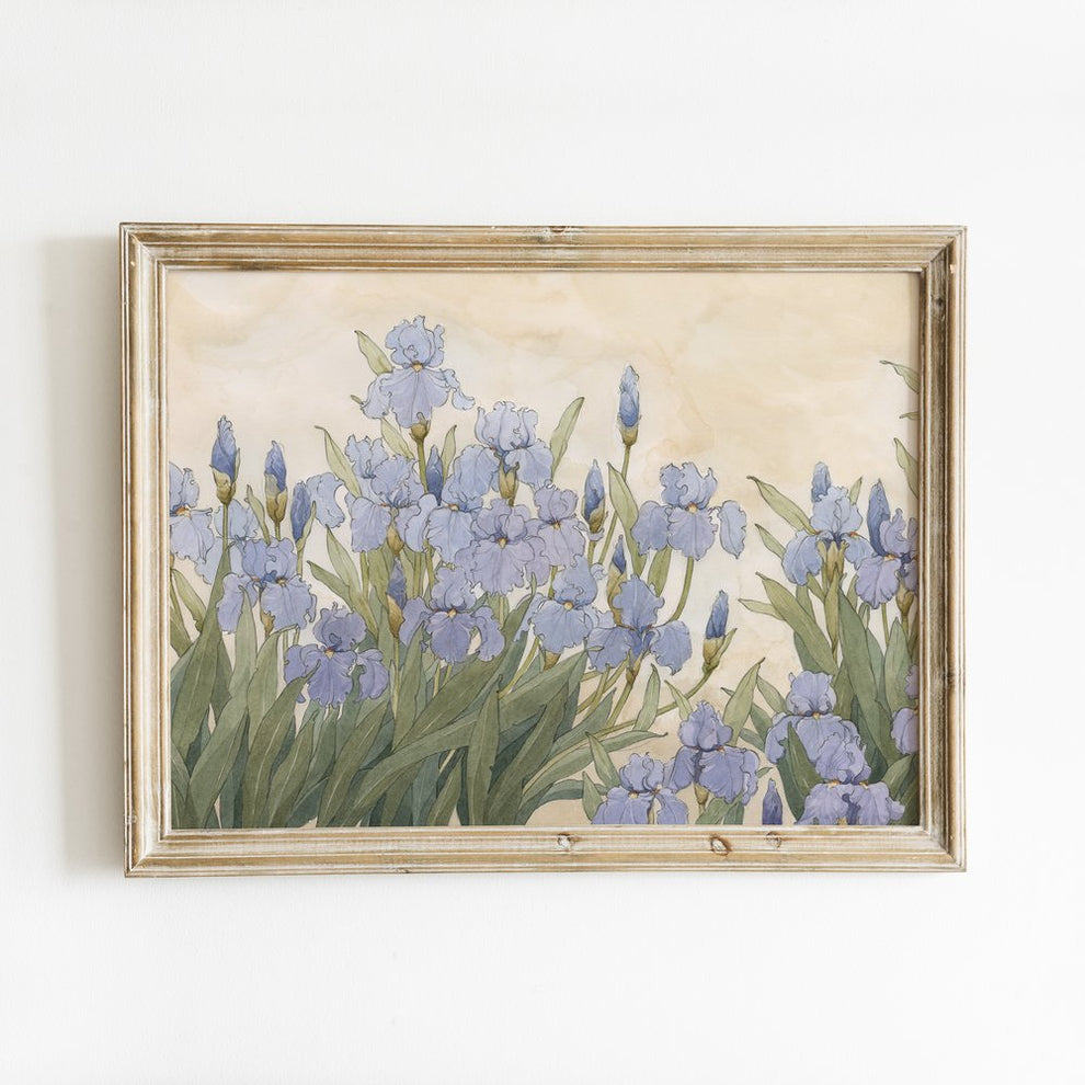 Artist Carleigh Courey | Garden Iris – Ennis Park