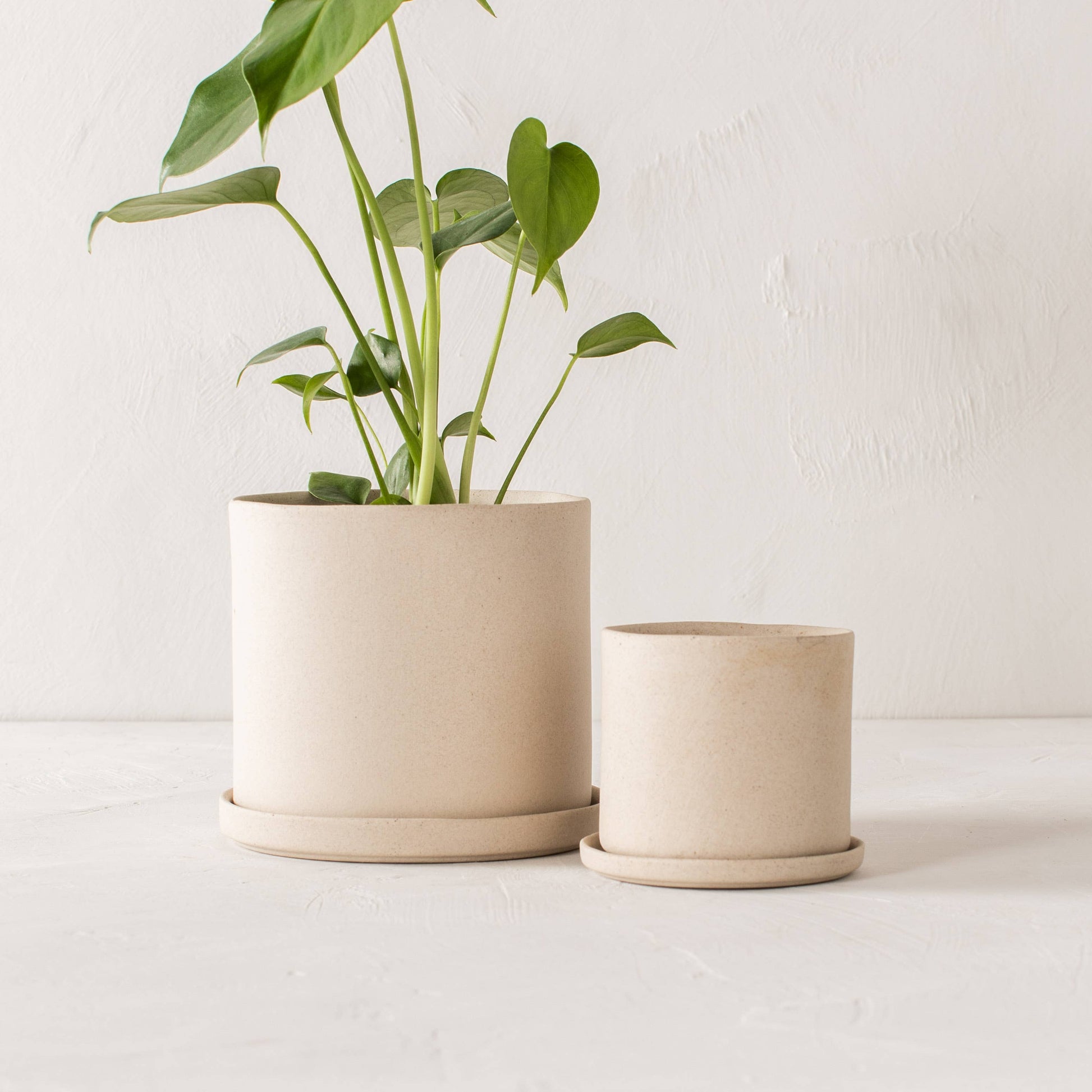 4" and 6" unglazed sand stoneware planters side by side