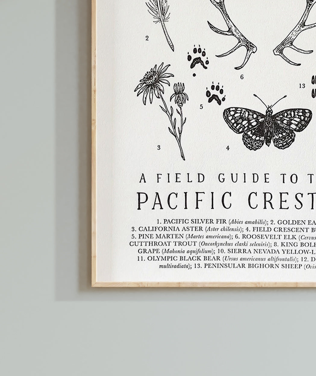 Pacific Crest Trail Guide Letterpress